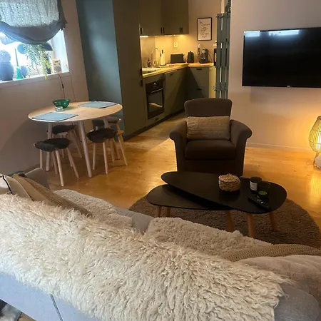 In The Center Of Apartment Tromsø